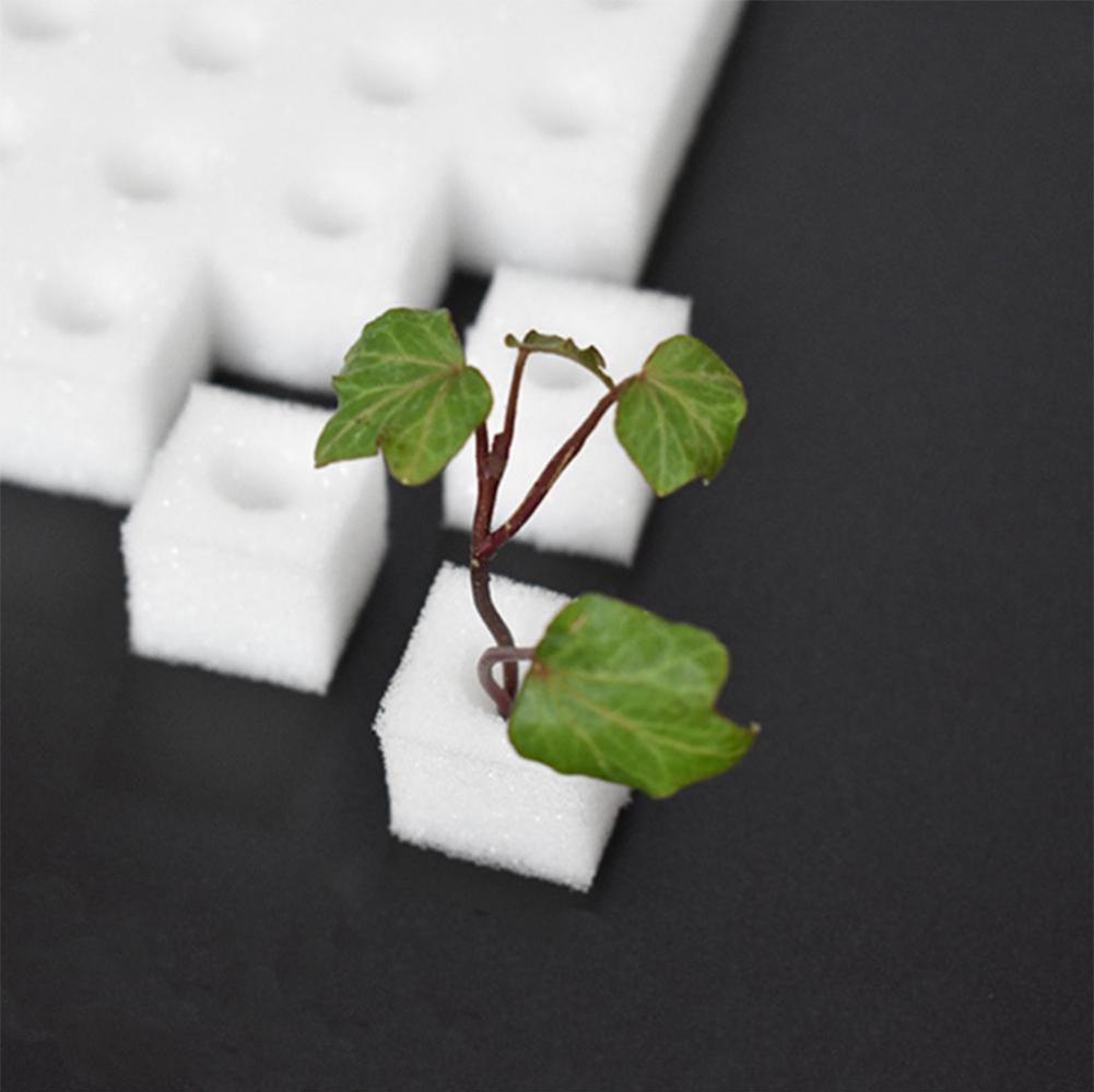 100 Soilless Cultivation Planting Cotton Hydroponics Sponge-Block =`~ Raise O3A9