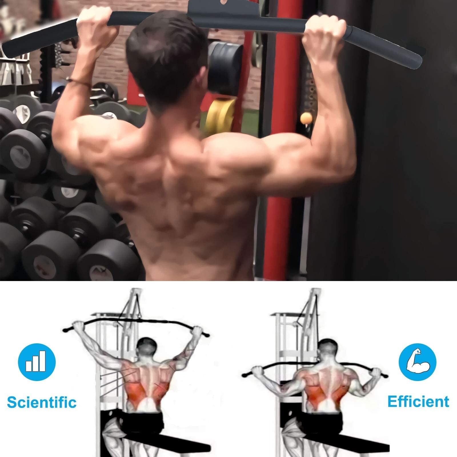 39" Cable Machine Lat Pulldown Attachments Wide Grip Bar Handle Tricep Training