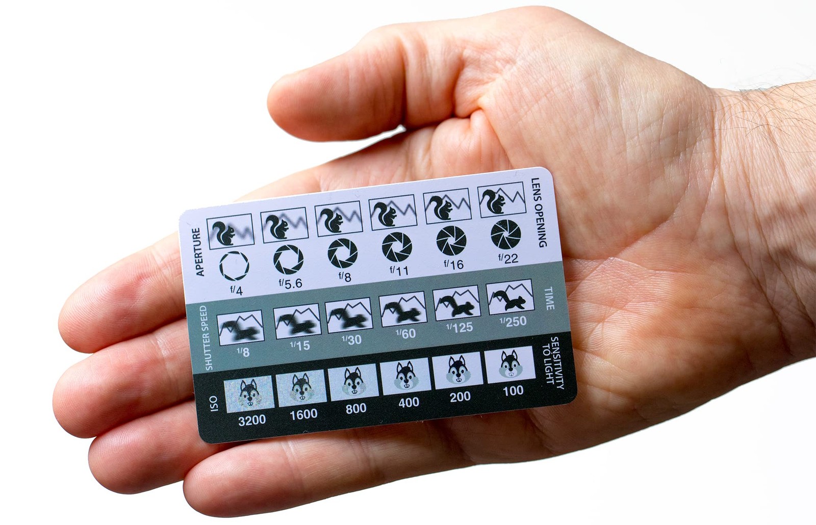 DSLR/mirrorless Photography Cheat Sheets Credit Card Size Single Card, White