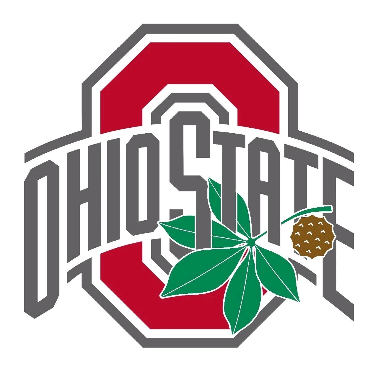 Ohio State Buckeyes Sticker NCAA Football Die Cut Laminated