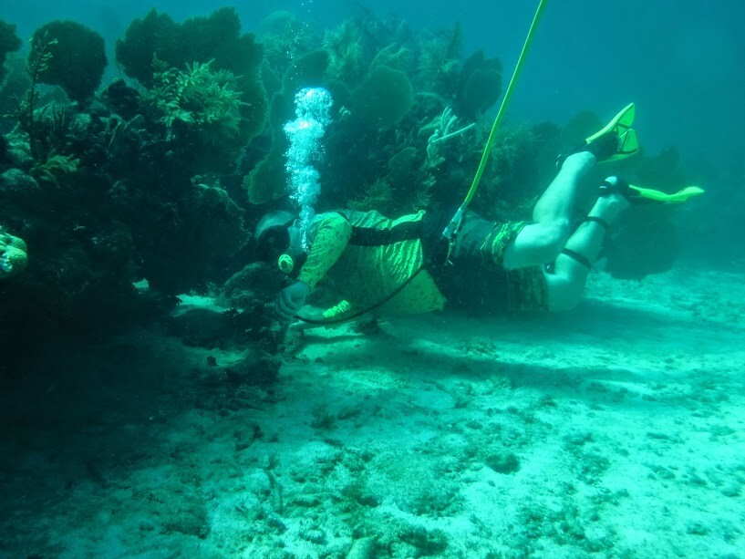 Hookah Diving 5 micron POLY FIBER CARBON Filter PLUG IN AND DIVE READY