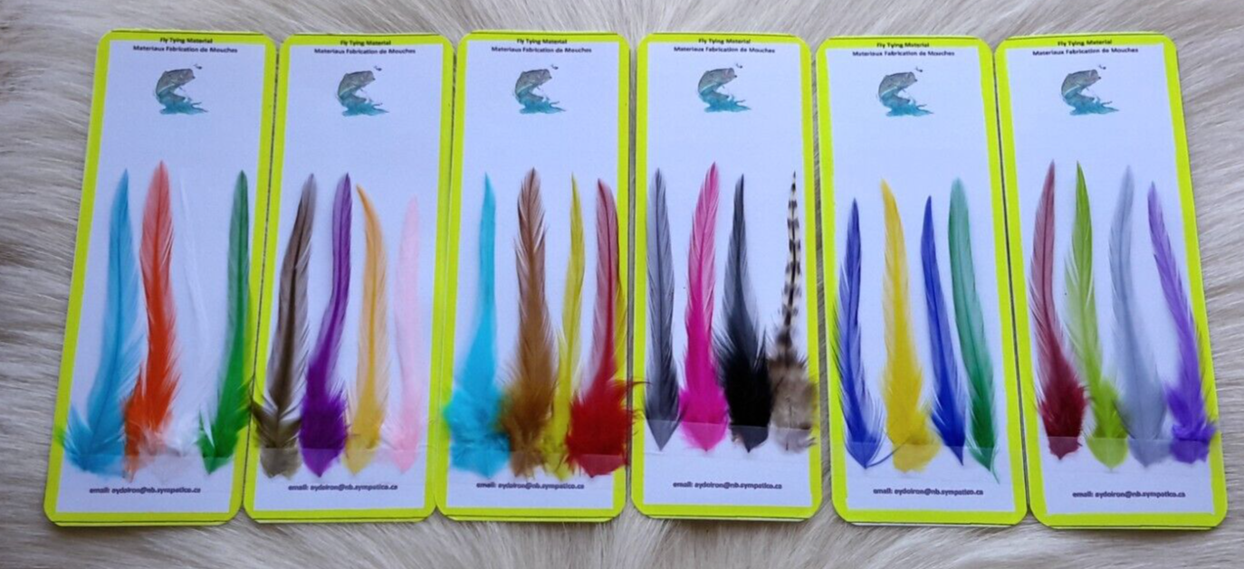 Saddle Hackle.. (Feather.) (24) large Pack.. assorted Colors.. Free Shipping.