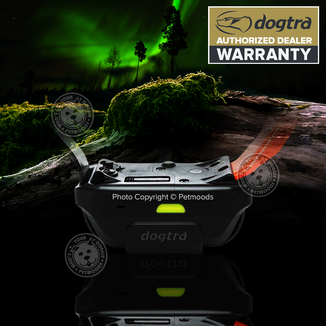 Dogtra Pathfinder TRX Additional Blue Dog Collar Tracking & Hunting GPS-Only