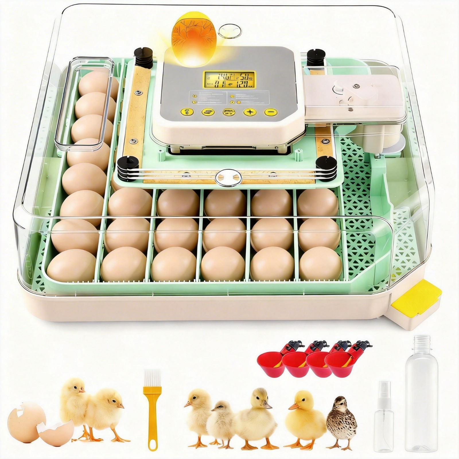 12-70 Egg Incubator with Auto-Turning, Hatching Temperature & Humidity Control🔥
