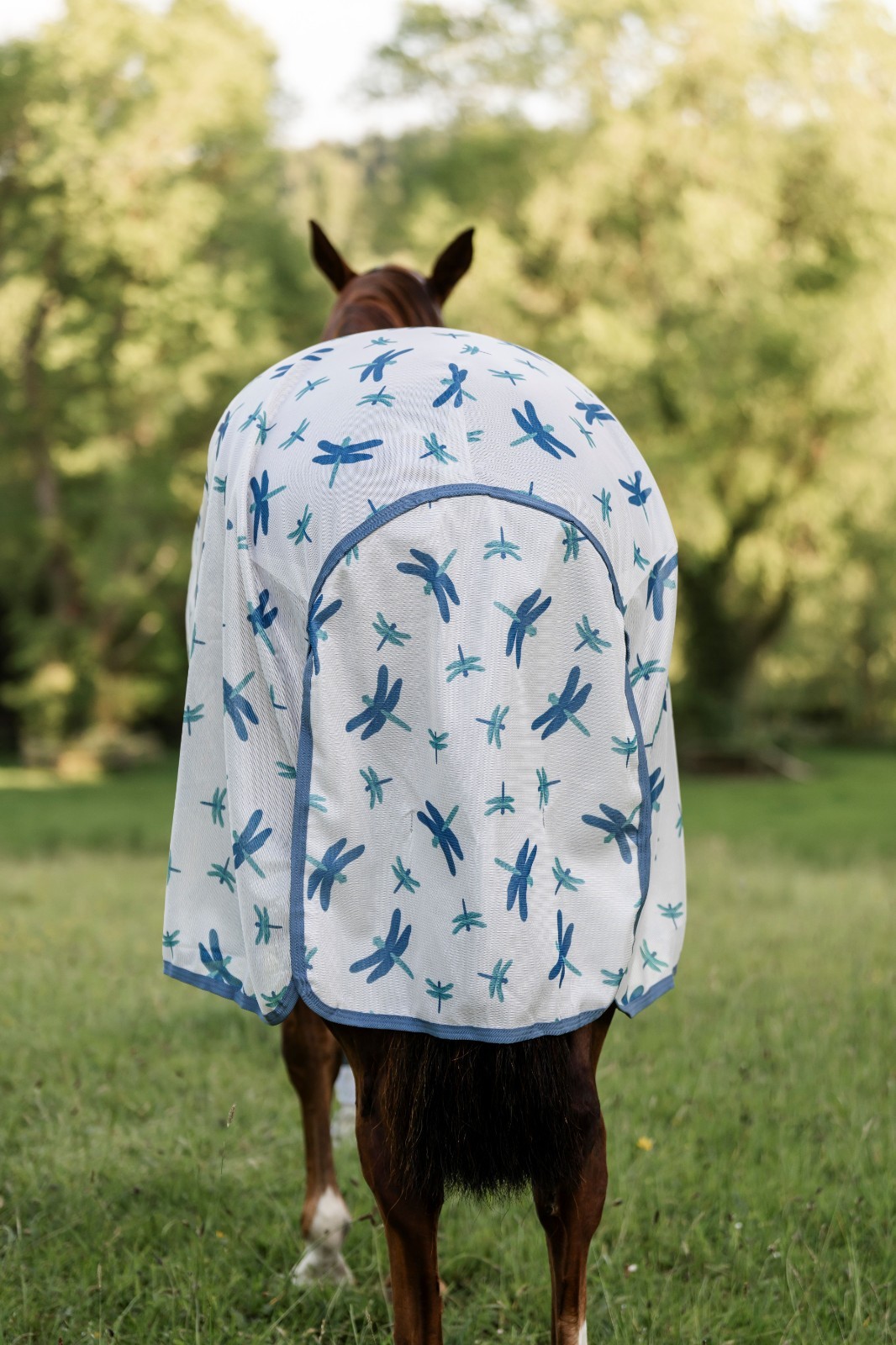 Horseware Amigo Bug Rug Fly Sheet - No Hood