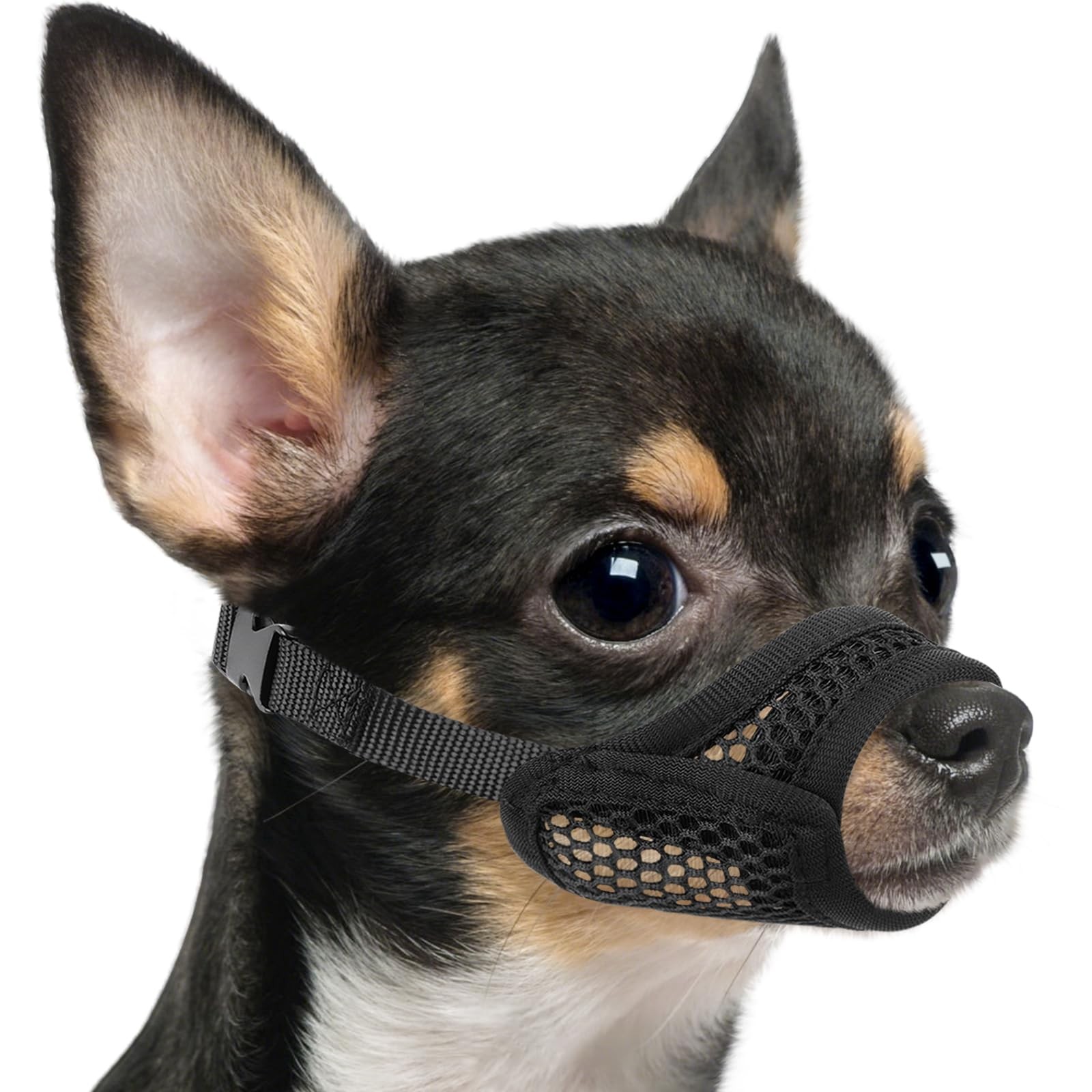 Mesh Muzzle for Short Snout Small Medium Dogs Anti-Biting Breathable Fabric