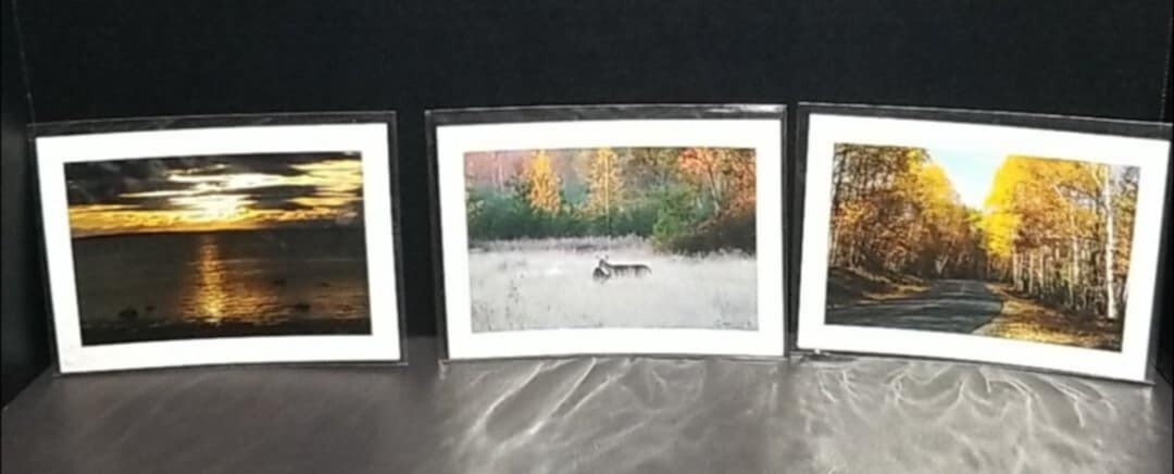 ~Landscape Theme~ Photography Photo Greeting Cards-Blank Inside Set Of 3 ~Lot#2~