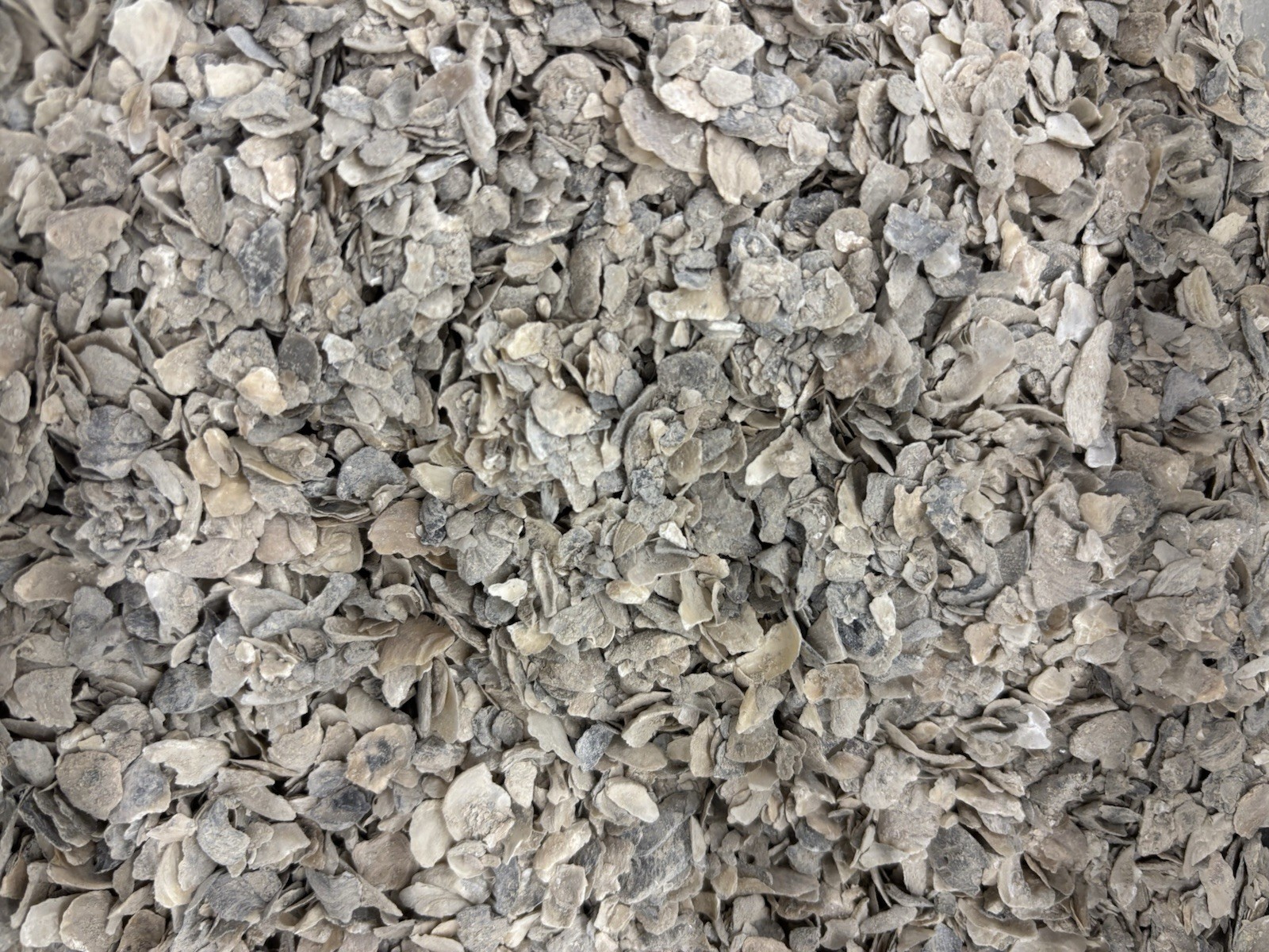 Crushed Oyster Shell 5LB Calcium Supplement for Chickens