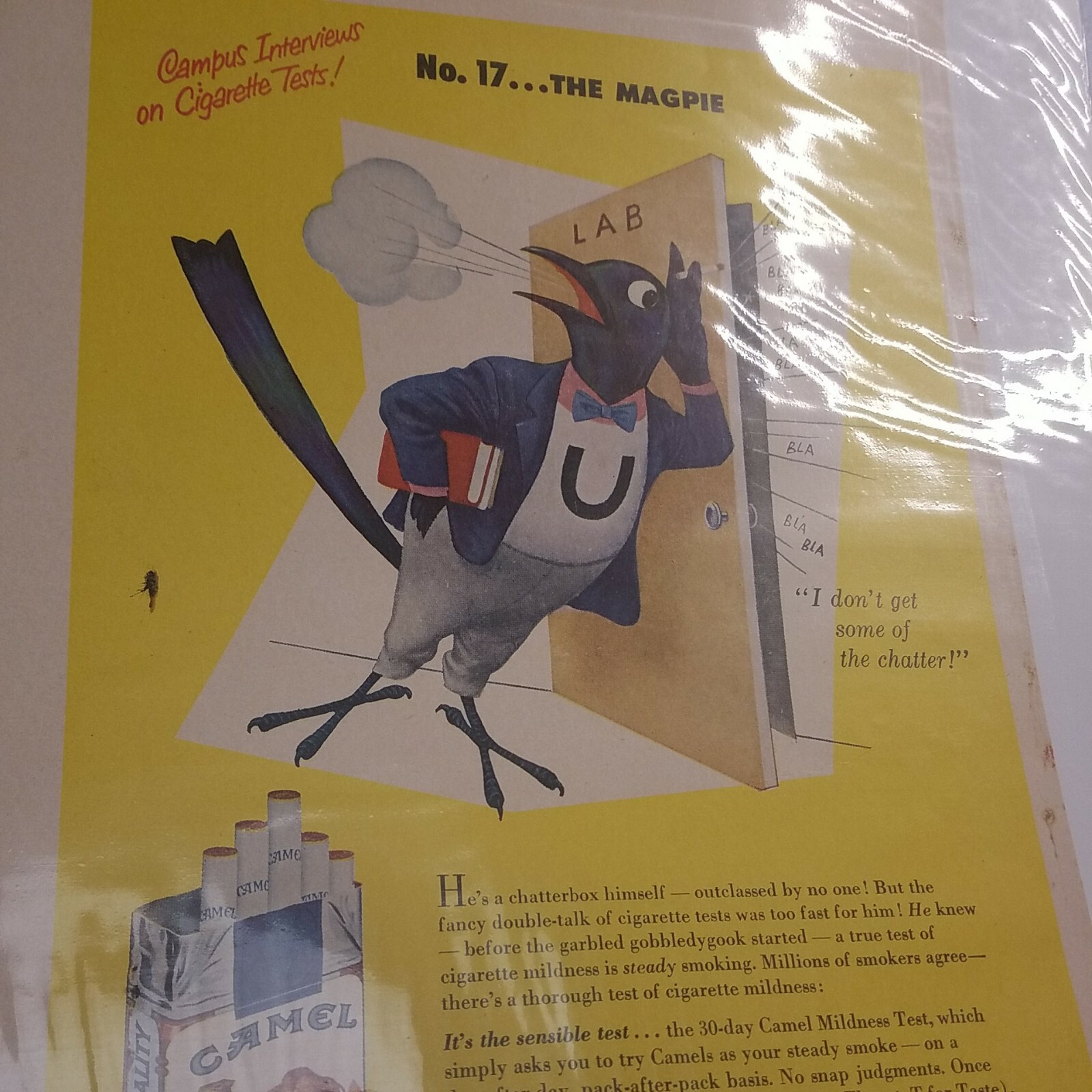 CAMEL CIGARETTES VINTAGE AD 1950's CAMPUS INTERVIEW ON CIGARETTE TESTS NO 17