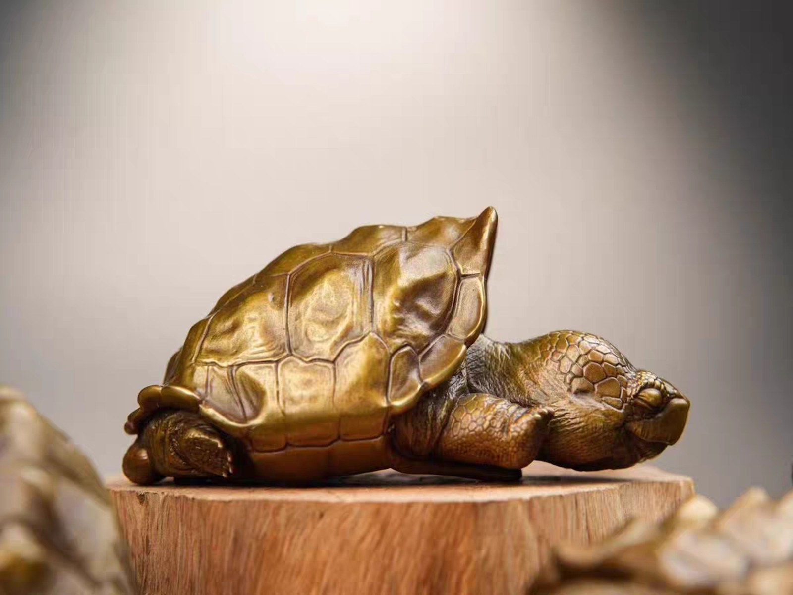 Solid Bronze Copper Galapagos Tortoise Turtle Statue Artwork Decor handcraft