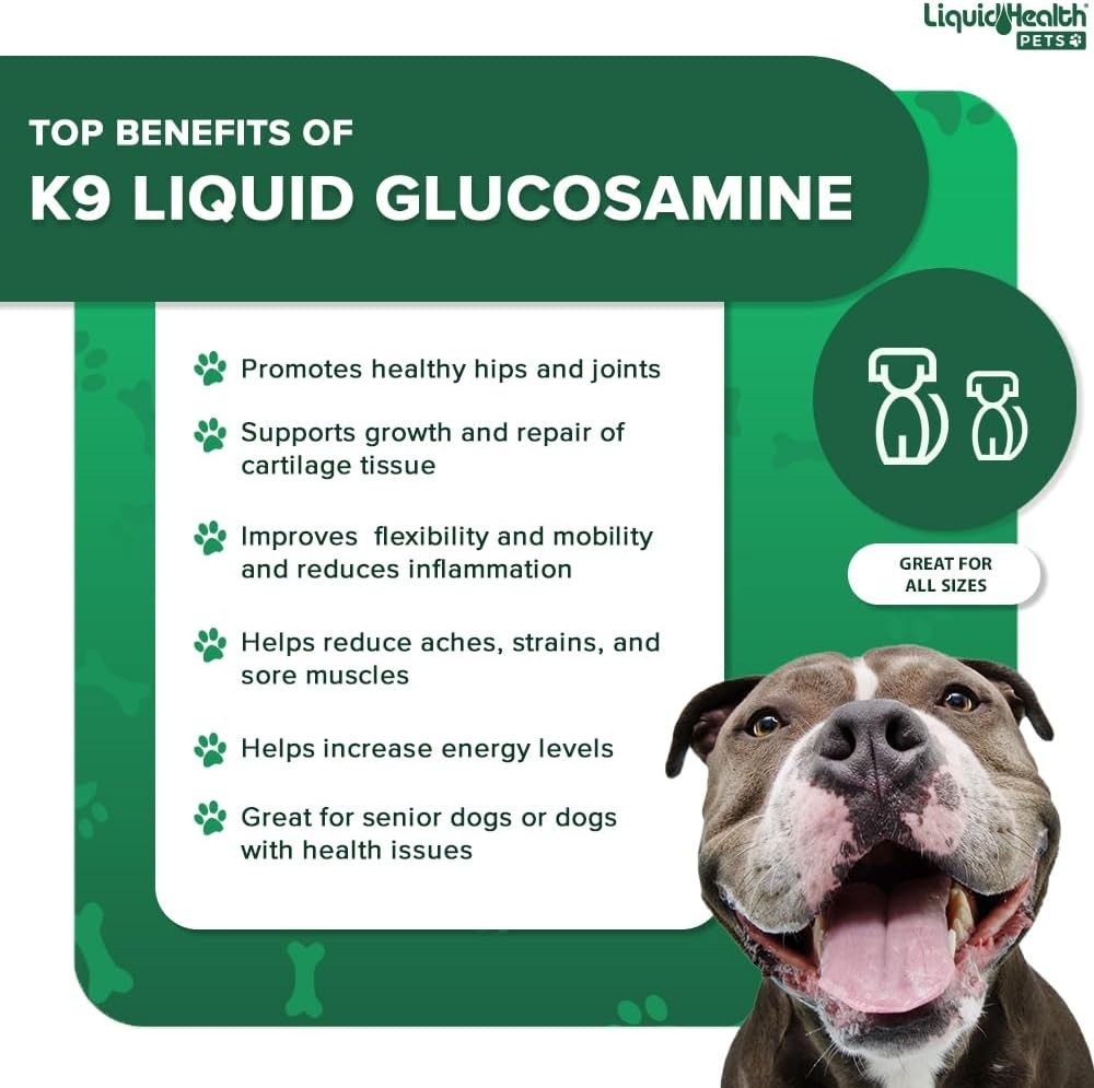 Joint Function & Mobility Support Glucosamine for Dogs (32oz)