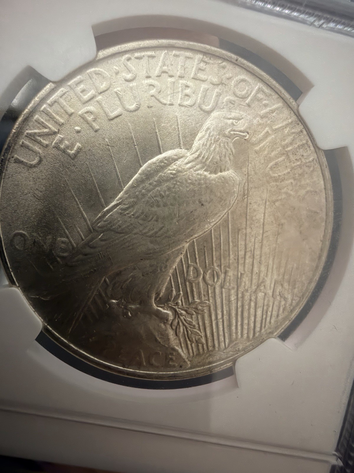 1922 & 1923 $1 Silver Peace Dollars NGC MS63