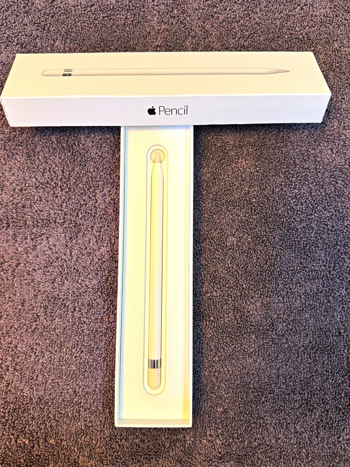 Apple Pencil MK0C2AM/A White Stylus with case & charger.
