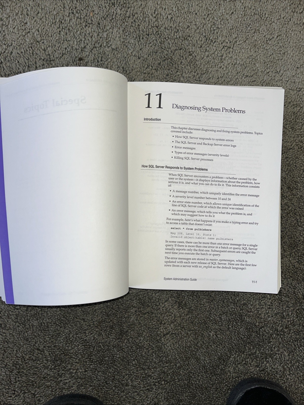 Vintage Sybase SQL Server System Administration Guide 1994, before SAP merge.