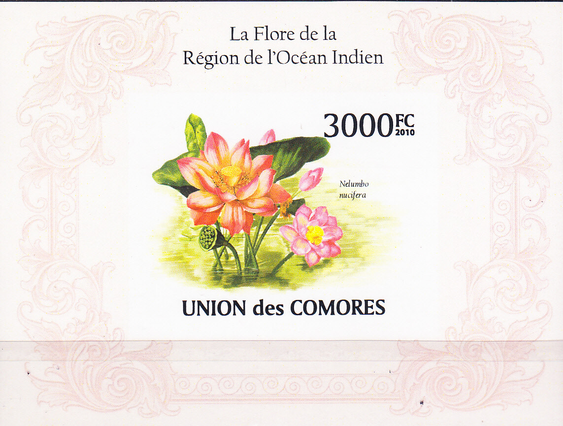 W COMORO Y2010 (1v) INDIAN OCEAN FLORA IMPERFORATED SOUVENIR SHEET