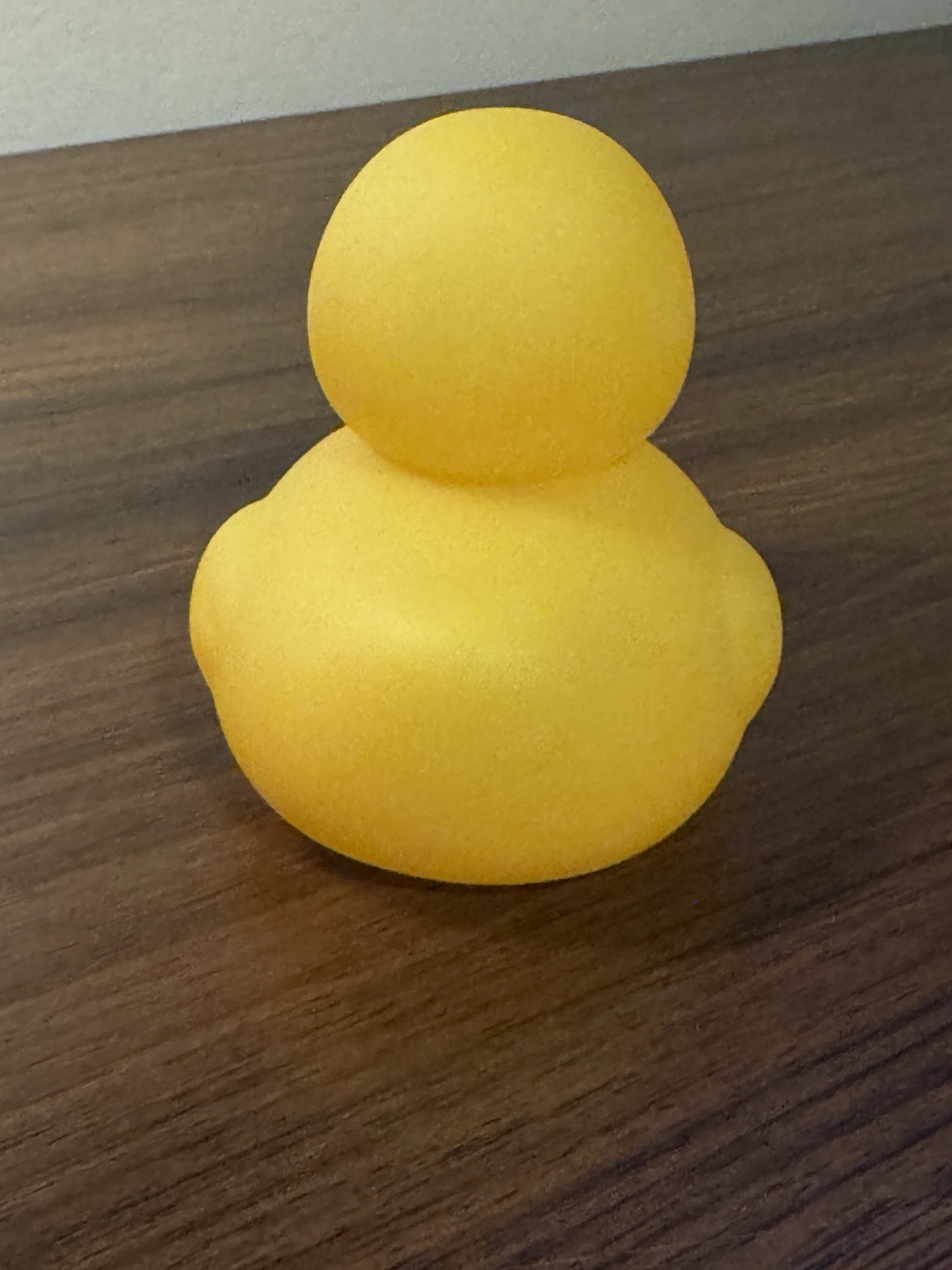 Light Up Duck