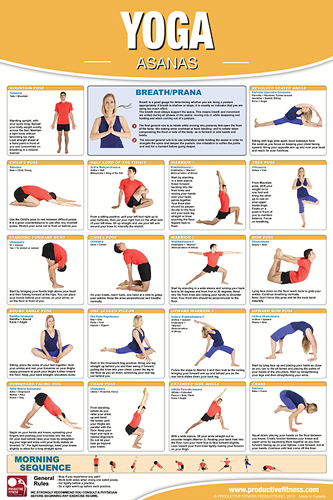 YOGA ASANAS Professional Fitness Health Club Gym Wall Chart 24x36 POSTER