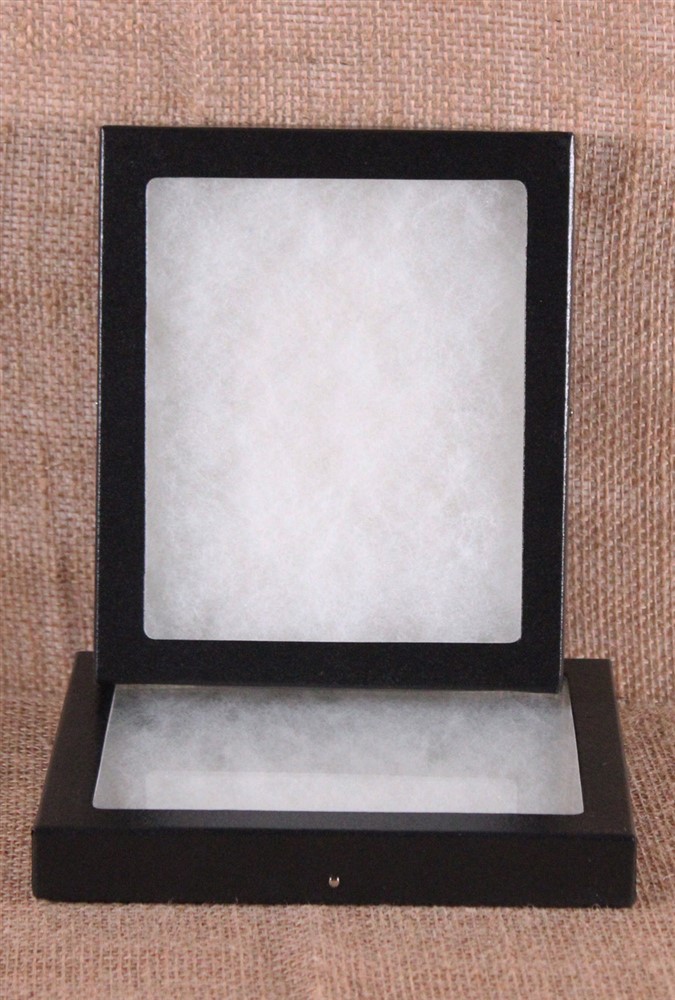 Collector's Display Case: 5 x 6 x 3/4" (Riker Type) - Package of 2