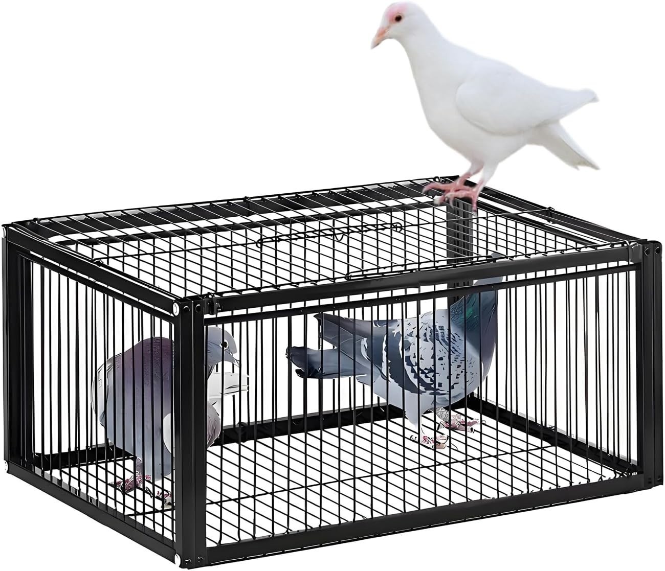 Pigeon Trap Cage, One-Way Entrance Escape-Proof Bird Traps, Easy to Install Outd