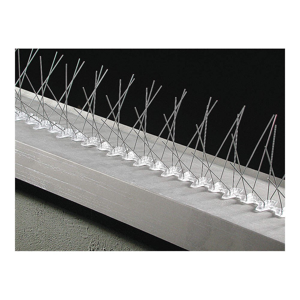 BIRD BARRIER BP-F350 Bird Repellent Spikes,50 ft L,8 in W 20YR33