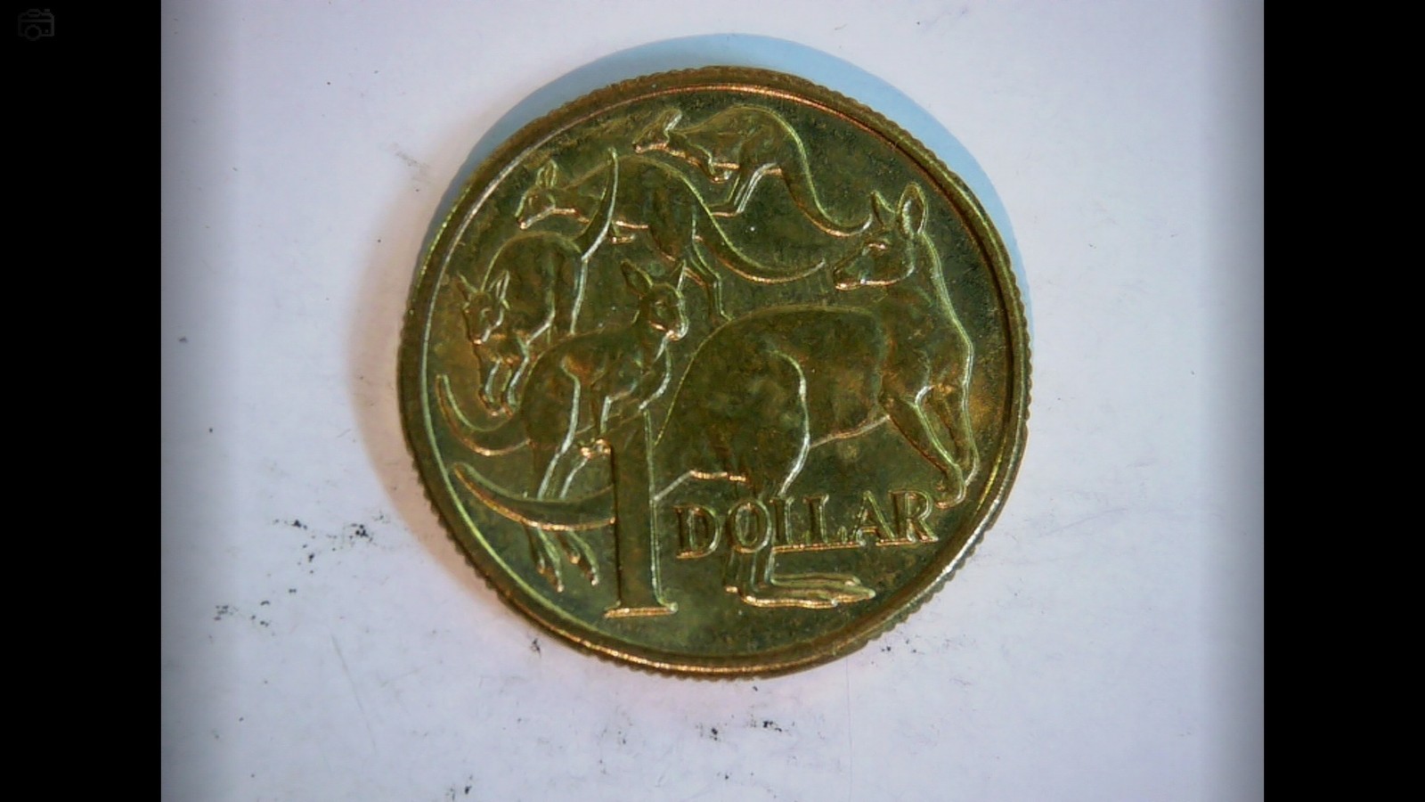 Australia 1984 1 Dollar Mob of Roos (Australian Dollar) Coin