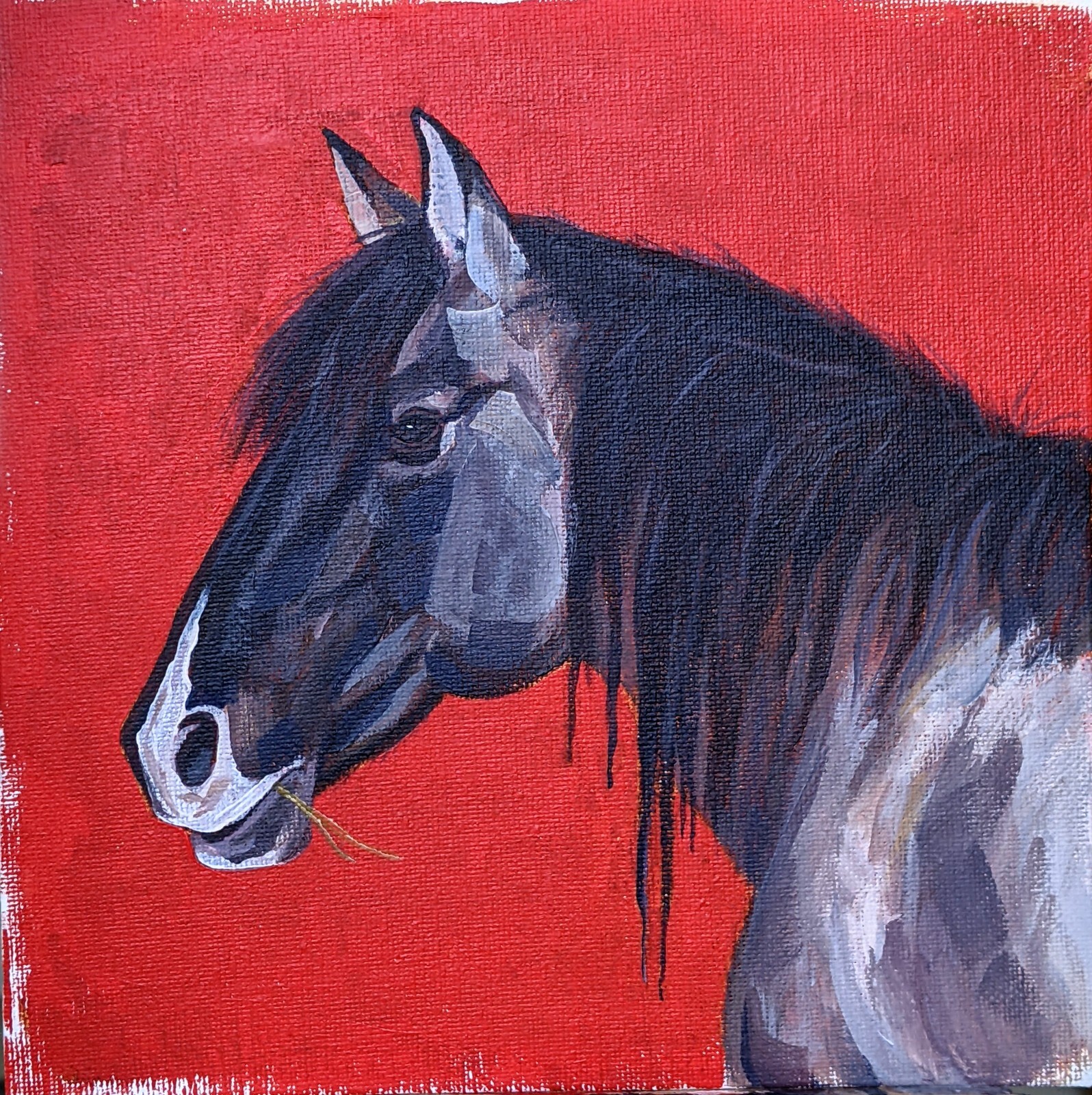 20x20cm  Custom Pet Portrait painting - dog/horse  acrylics from your photo