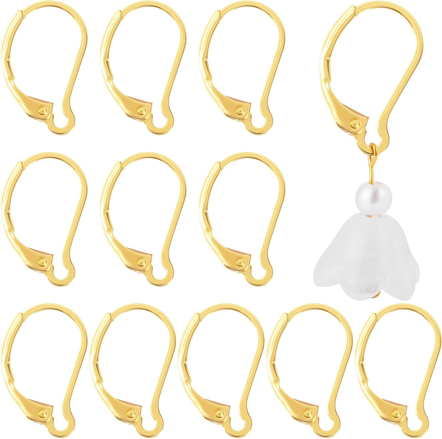 12 Pcs Leverback Earring Hooks, Stainless Steel Clasp Hoop, Hypoallergenic Dangl