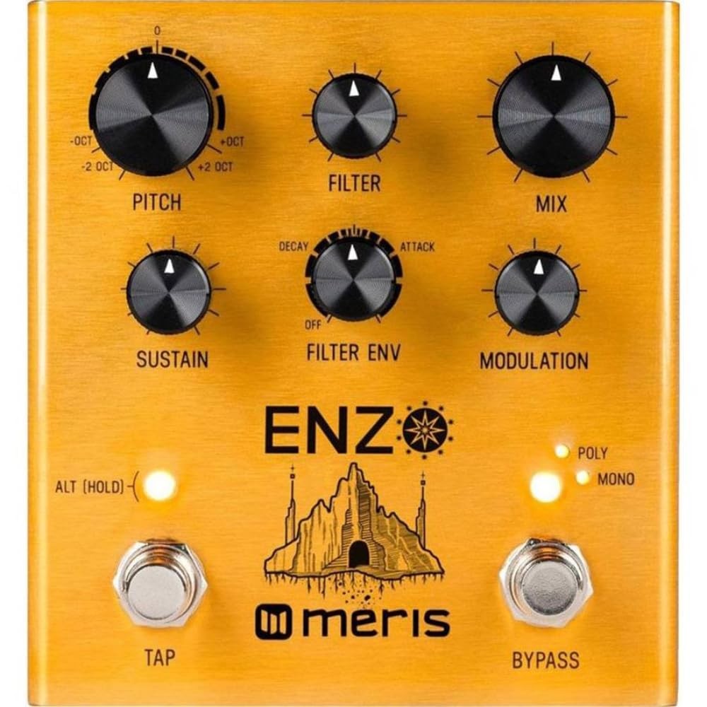 Meris EZO-DST Enzo Pedal Multi-Voice Synthesizer Pedal Effects Pedal
