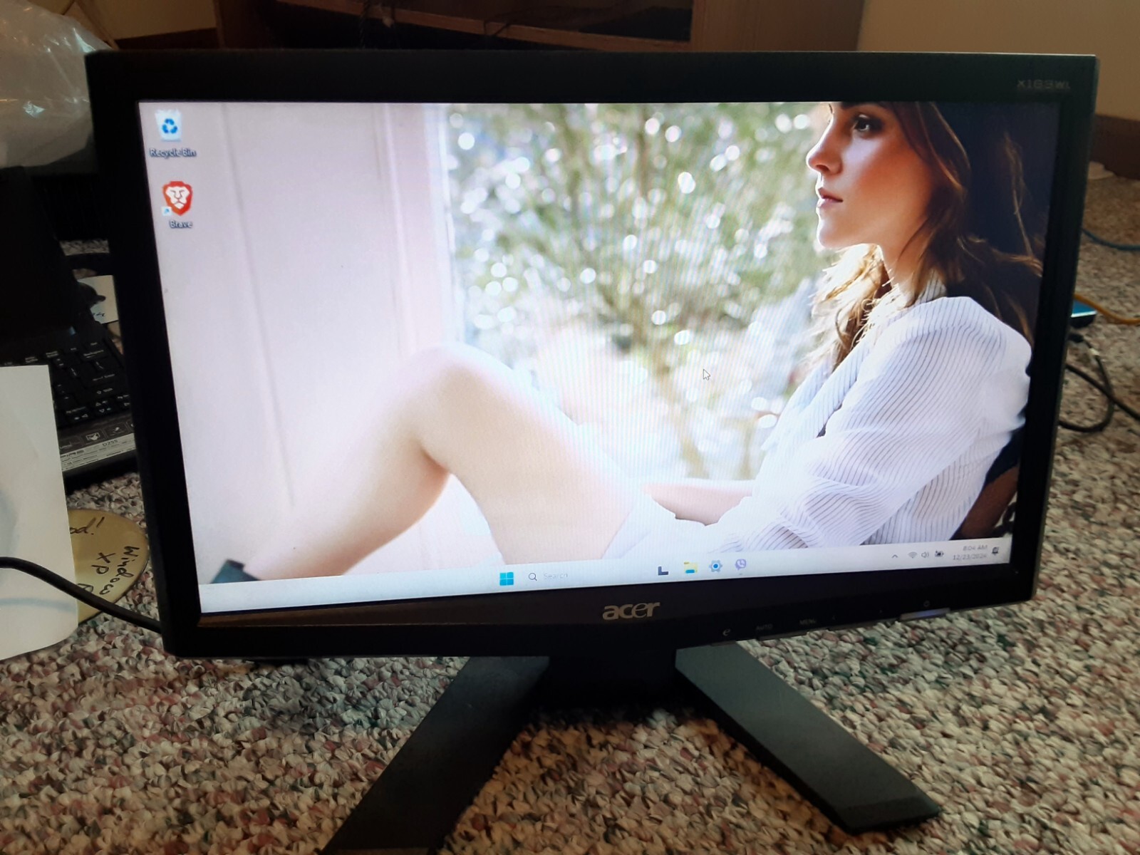 Acer X163WL LCD Monitor