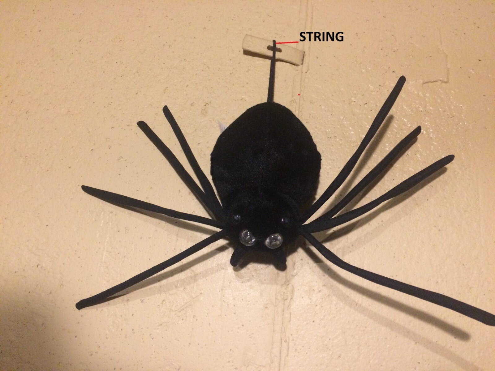 TRICK-OR-TREATER GREETER Halloween screaming spider animated web sonic ghost