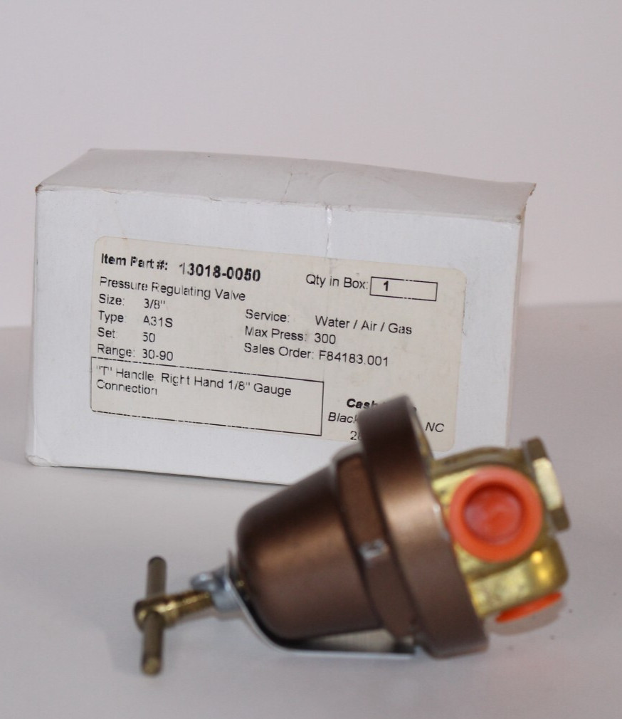 NEW CASH VALVE TYPE A31S 3/8" 300 PSI