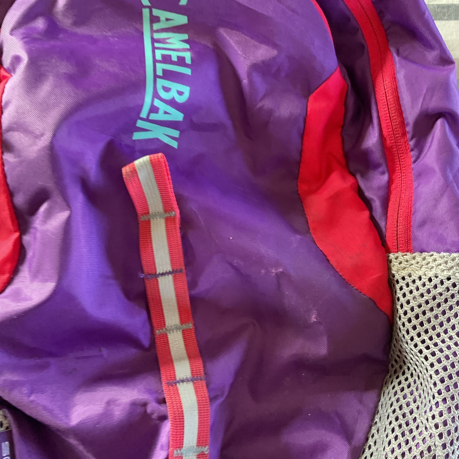 Camelbak Scout Backpack Purple and Pink