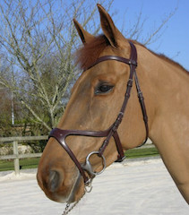 Dion X-FIT Bridle