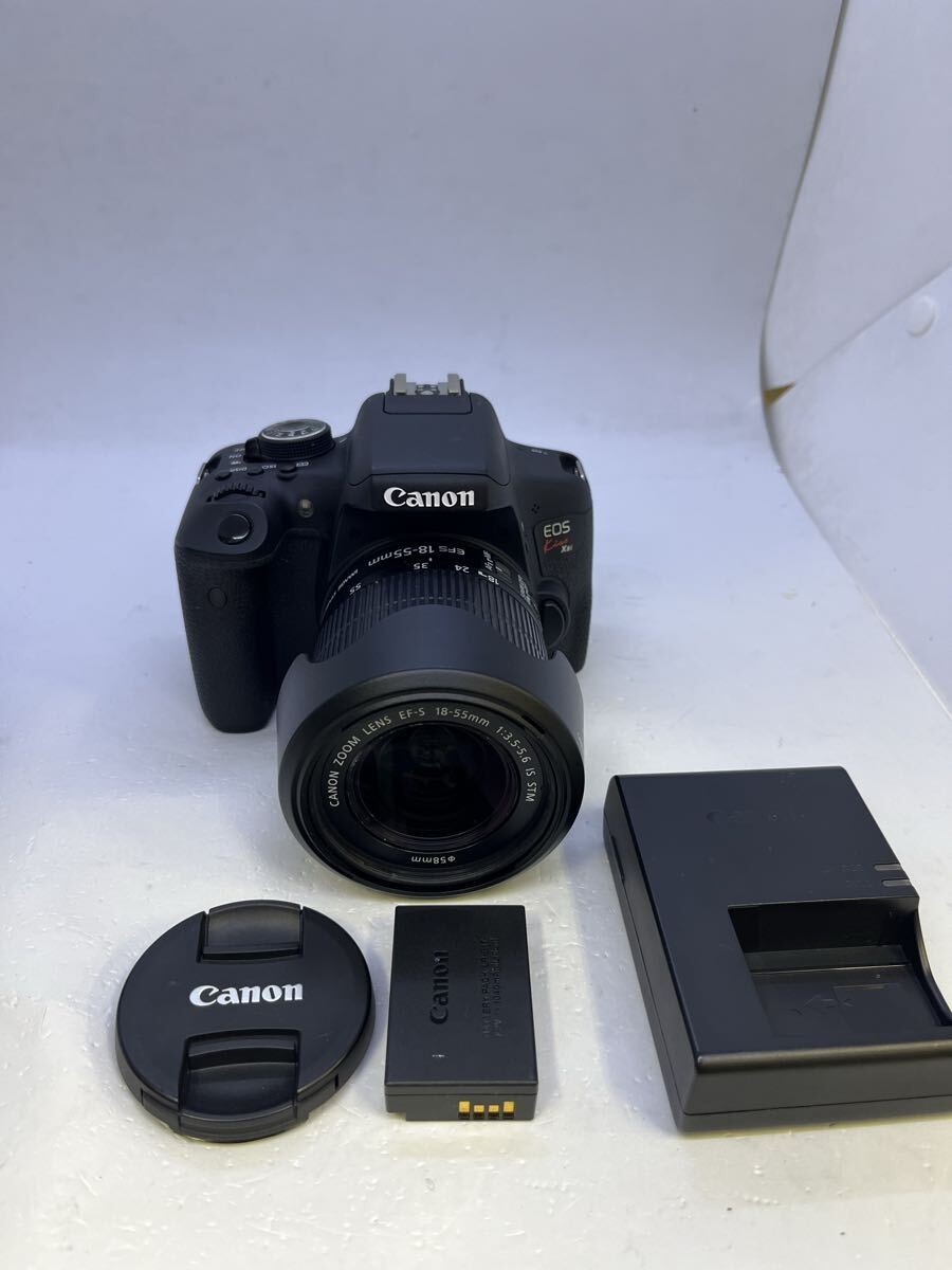 Canon EOS Kiss X8i / EF-S 18-55mm F3.5-5.6 IS STM 487882