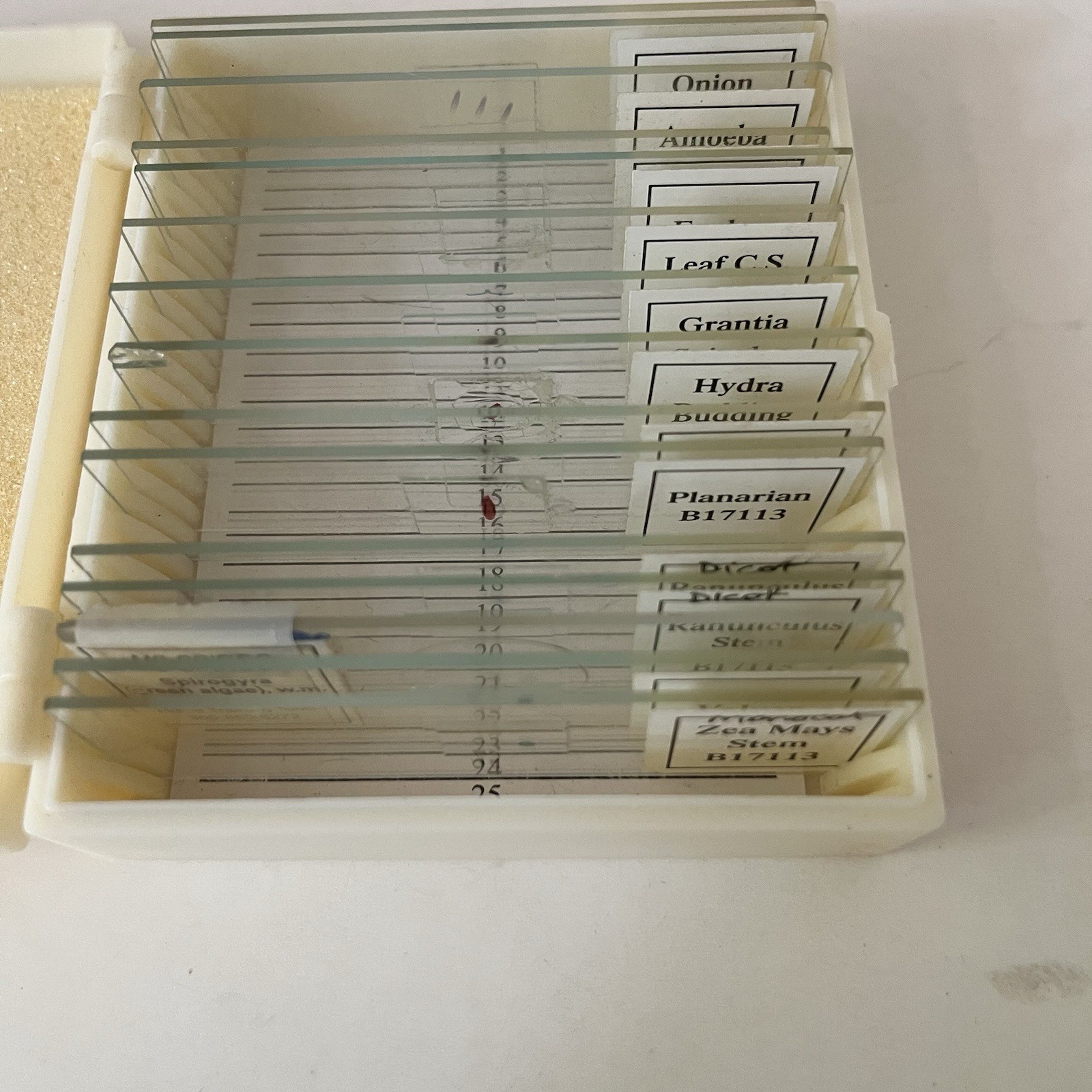 Apologia Biology Microscope Incomplete Slide set 1 & plastic case 15 slides GUC