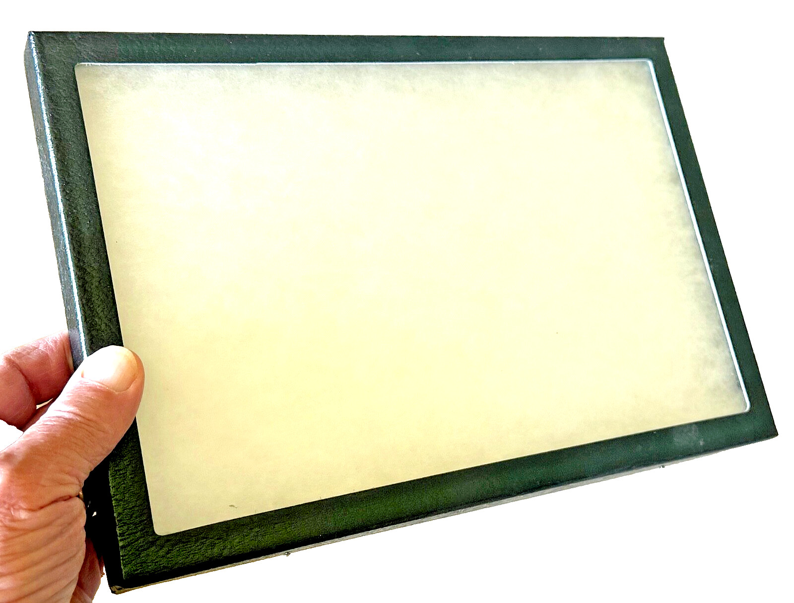 Collector's DISPLAY CASE: 8 x 12 x 3/4" (Riker Type) - Package of 1