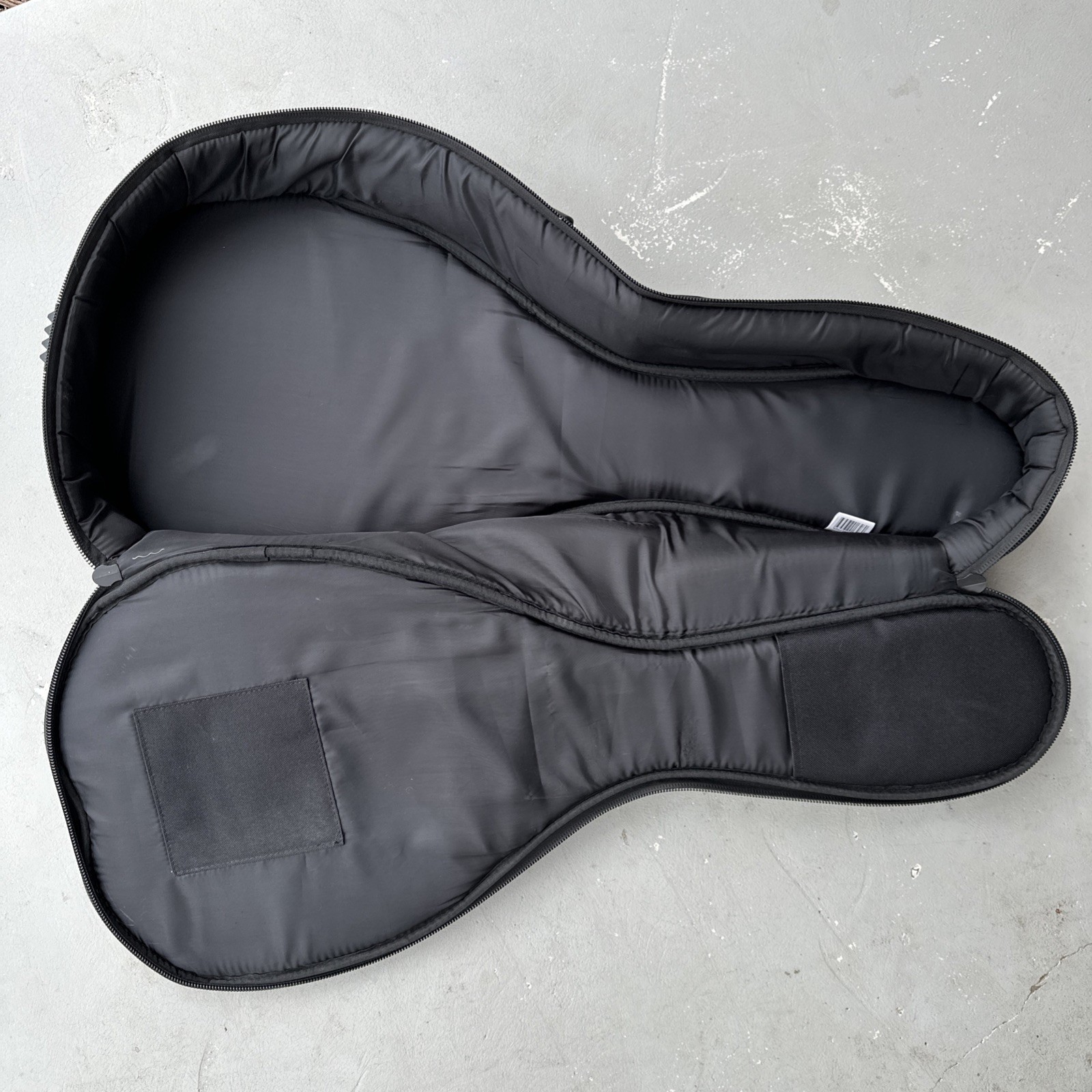 Roadrunner Mandolin Gig Bag