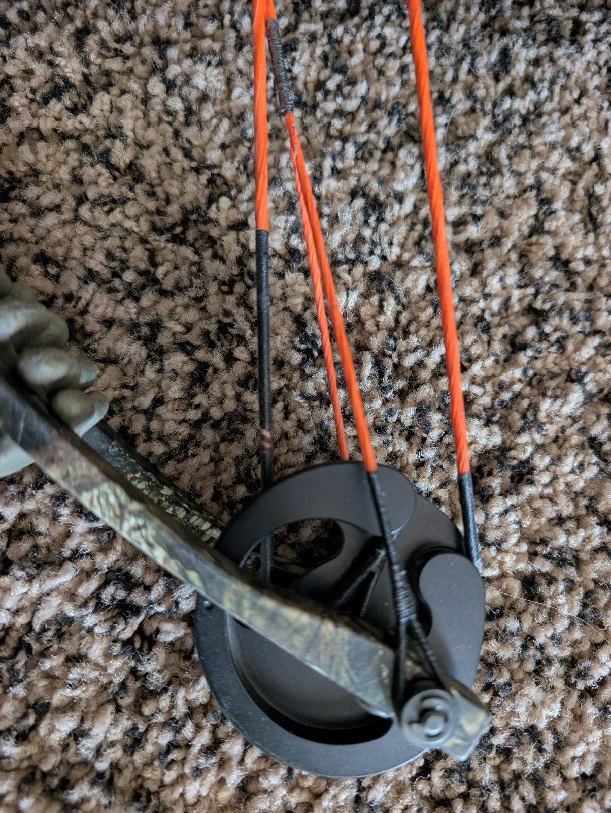 Crossbow Invader X4 With Scope And Bolts