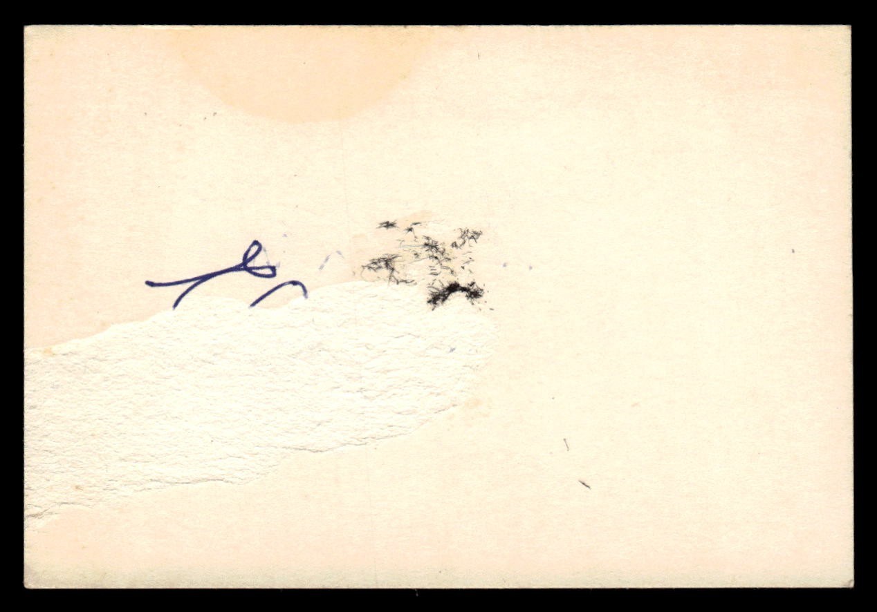 Elmer Valo A's Phillies Baseball Signed Cut Auto *TT145
