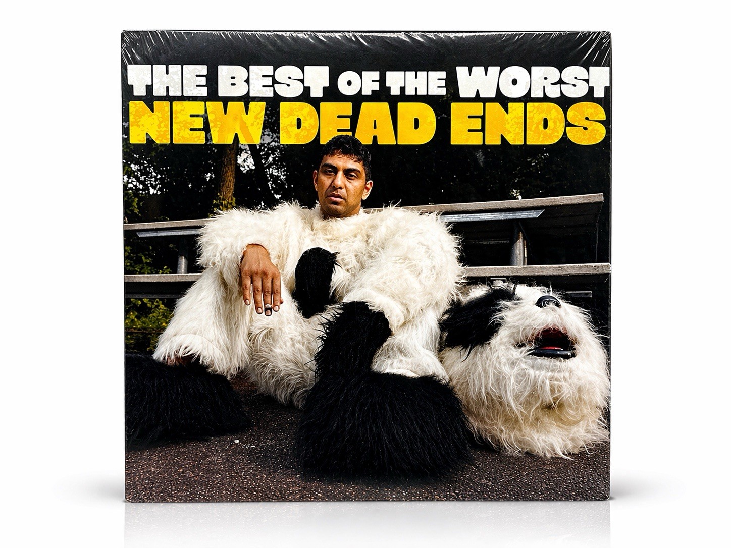 New Dead Ends The Best Of The Worst Vinyl LP Sealed 2025 Ska Hardcore Ltd to 250