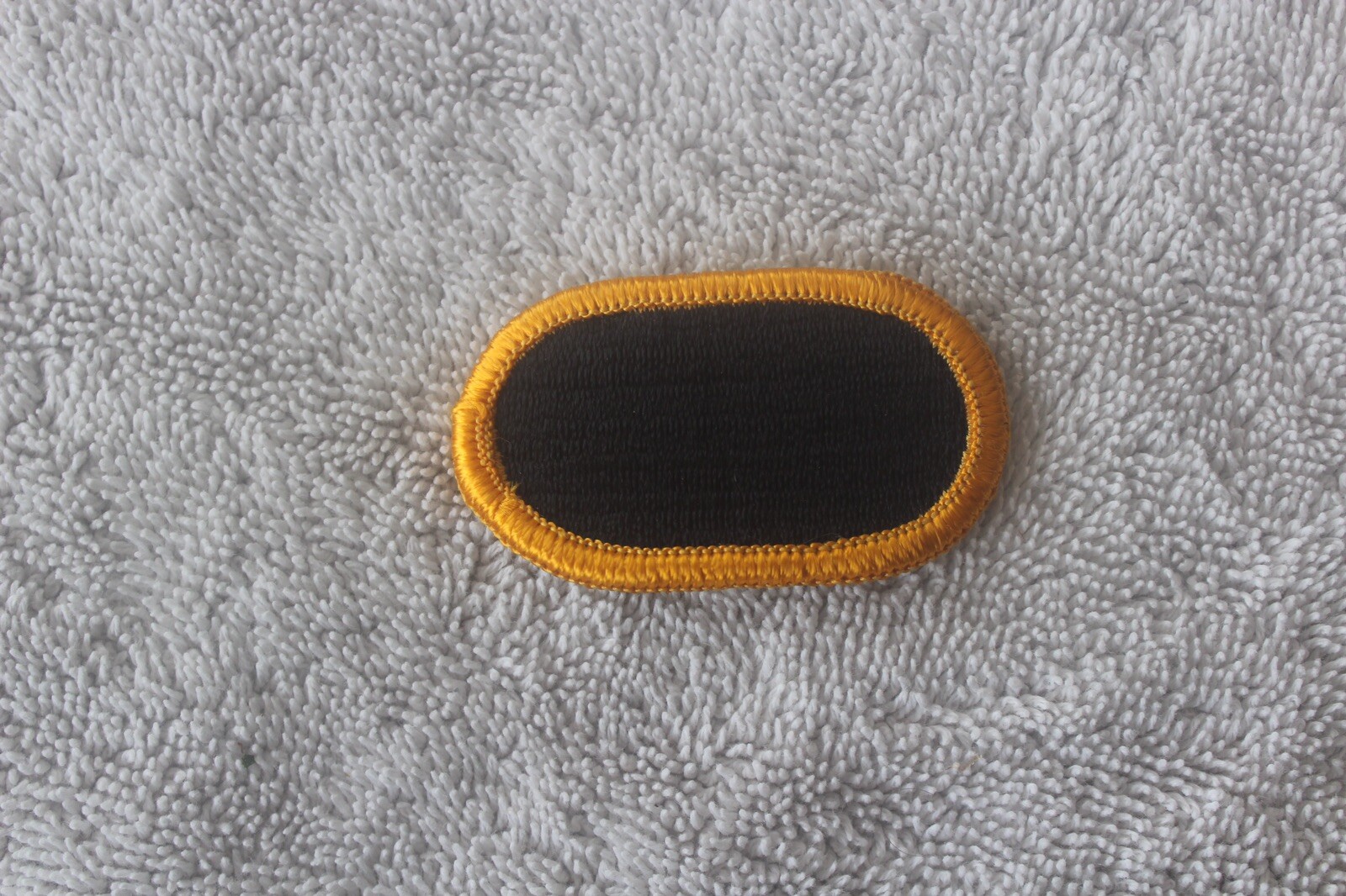 Vintage - Ranger Training Brigade Jump Wings Oval