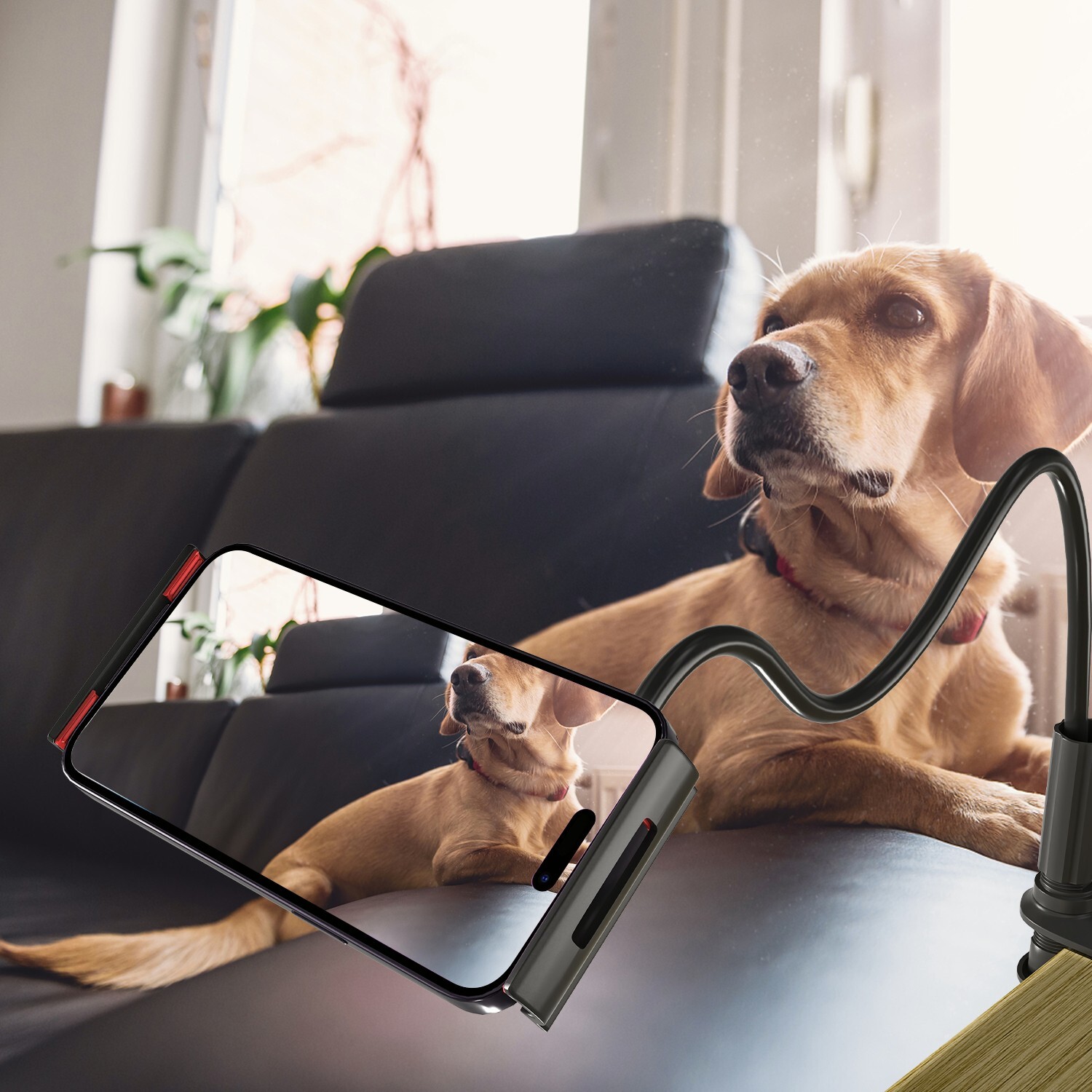 Multi-Device Floor Phone Stand – Compatible With iPad, iPhone & Samsung Tablets