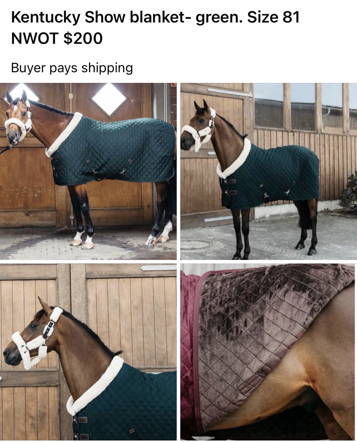Kentucky Show Blanket Quilted Green 81in Double Buckle Front Closure
