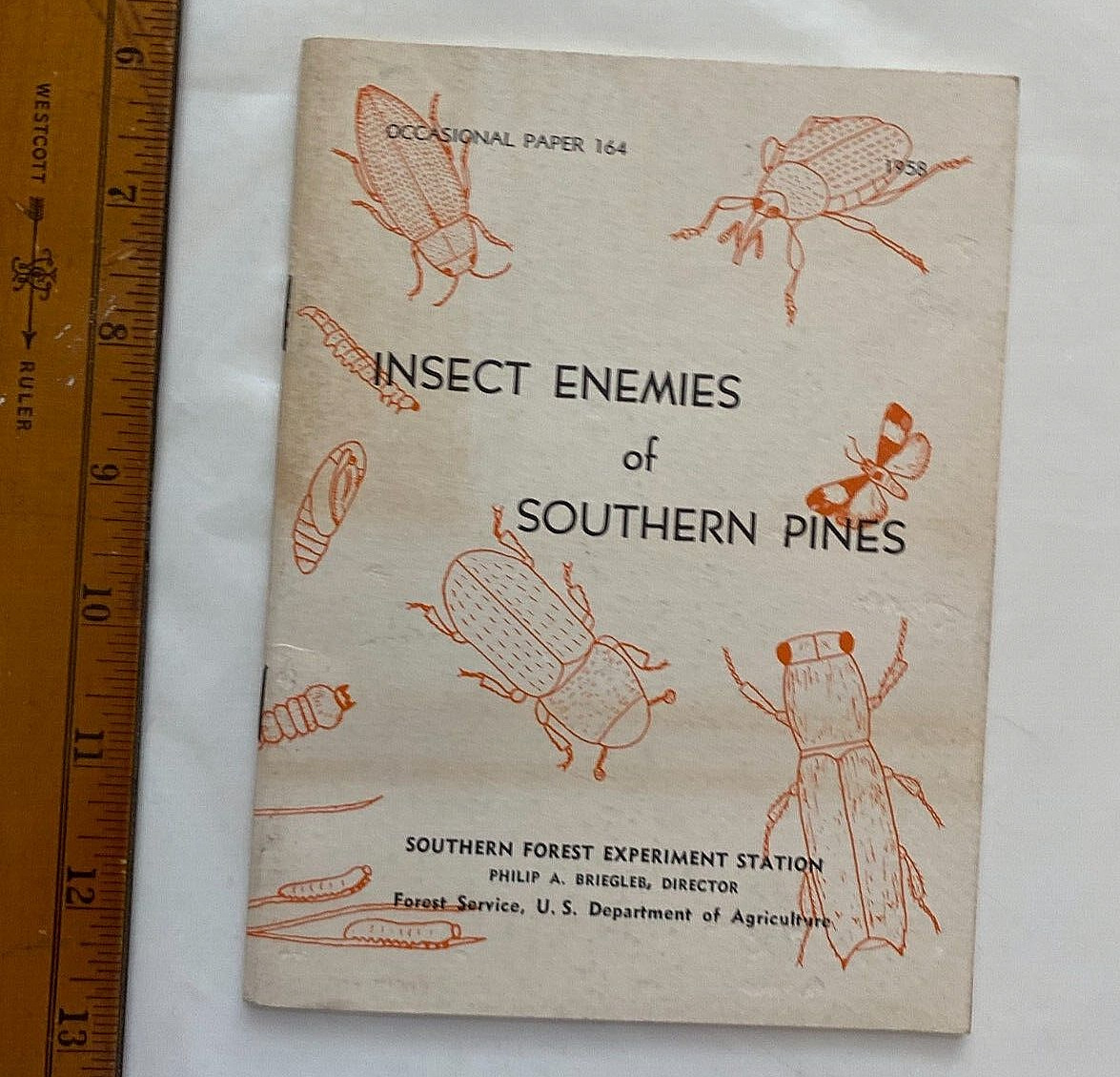 Insect Enemies of Southern Pines. U.S. Dept. of Agriculture. 1958. 35 Pages