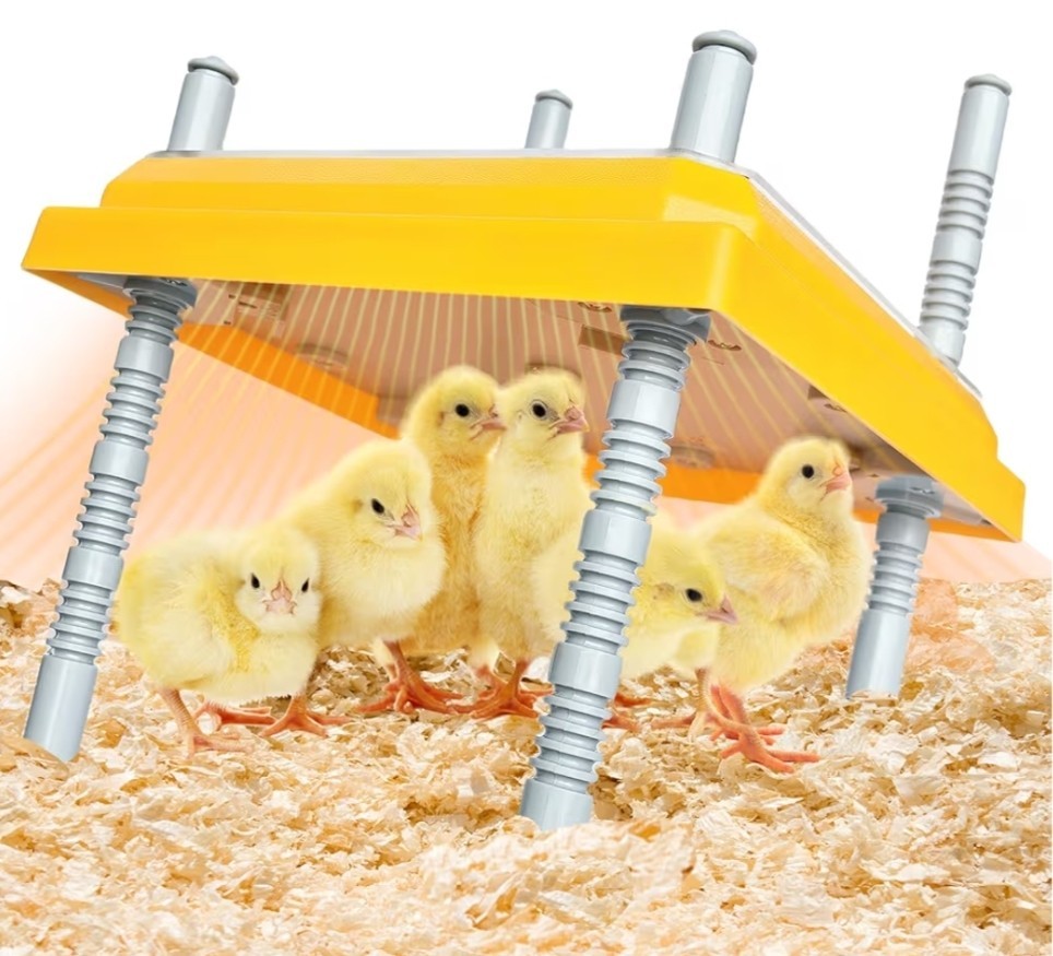 10x10 inch Brooder Heater for Chick Brooder Heating Plate 15w