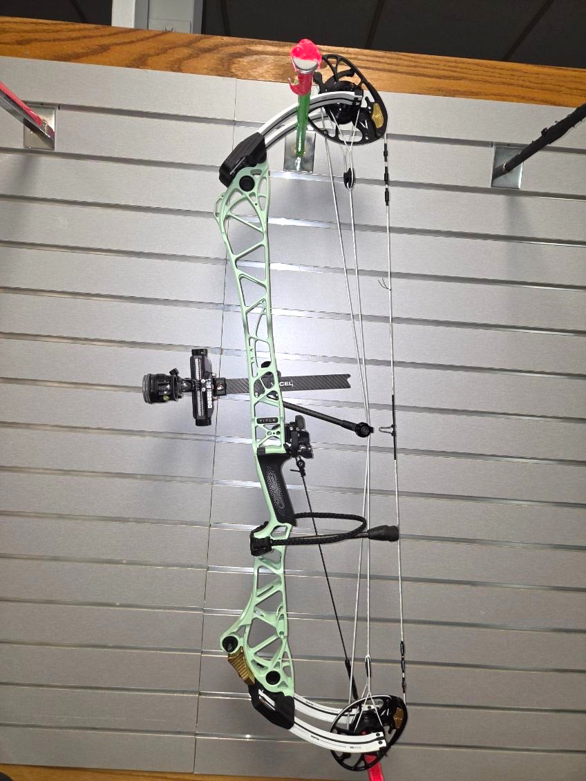Mathews TITLE 38