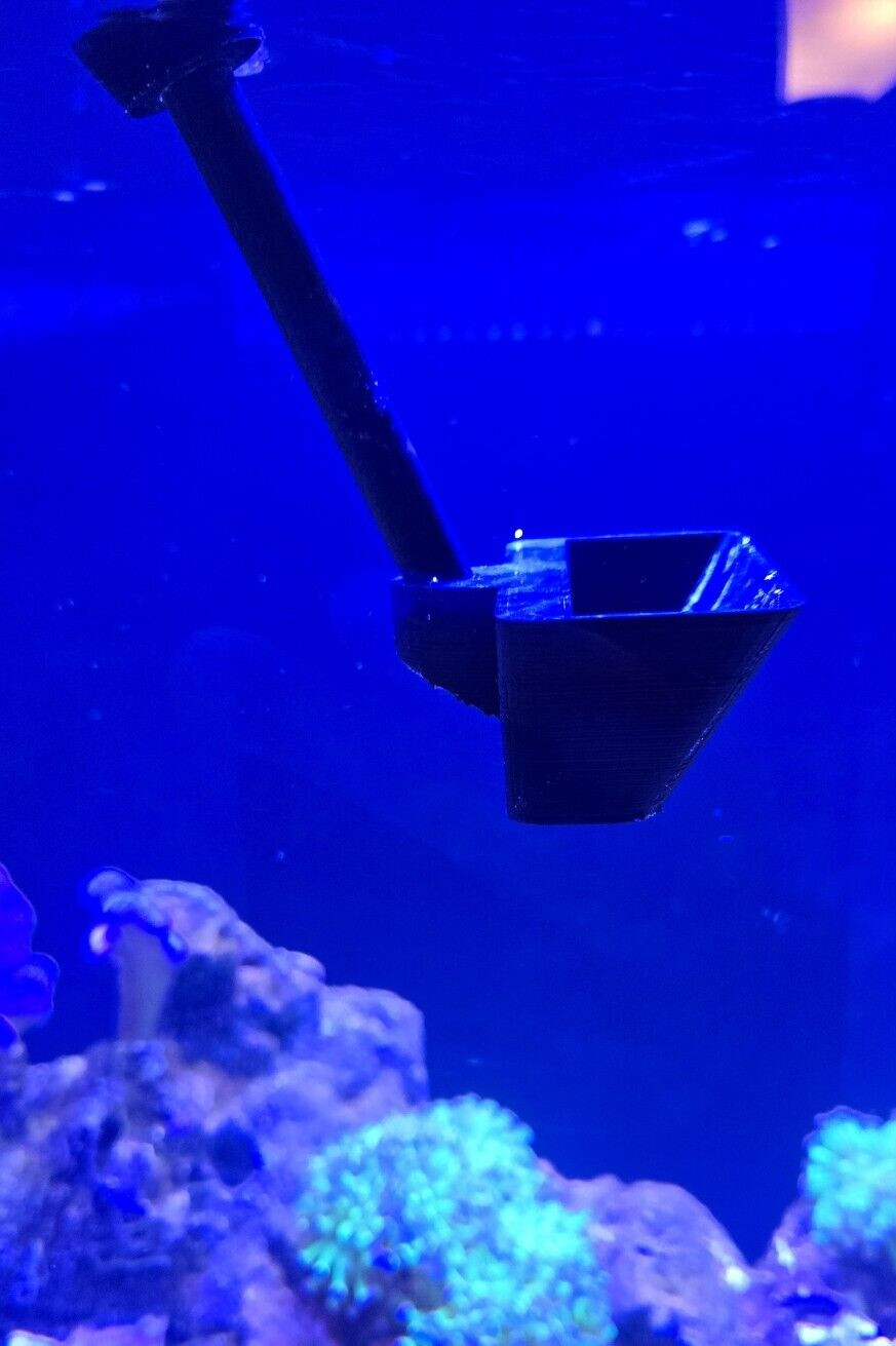 Asterina star fish catcher (scooper) marine tank glass -Kent Marine Style