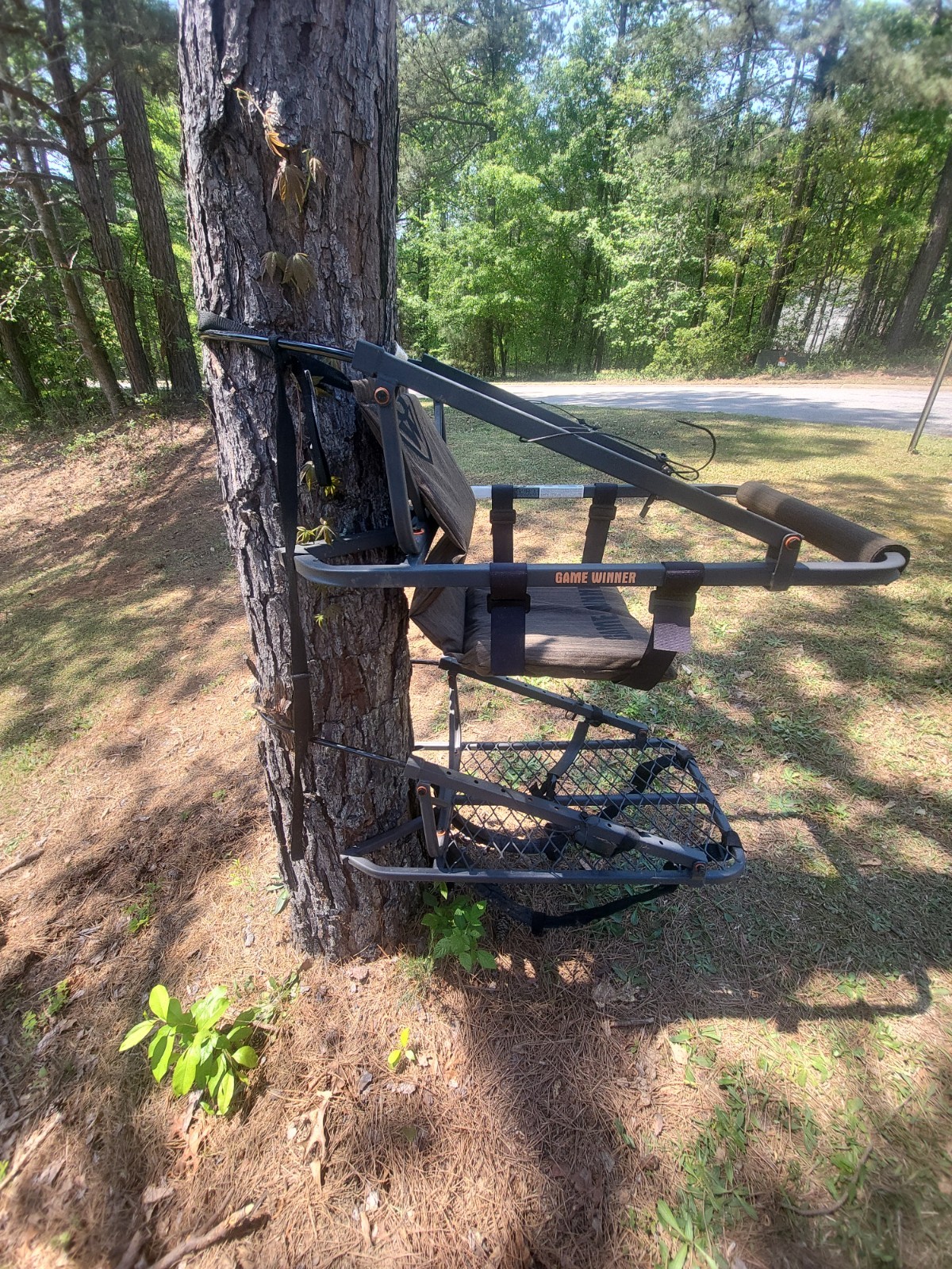 climbing tree stands hunting