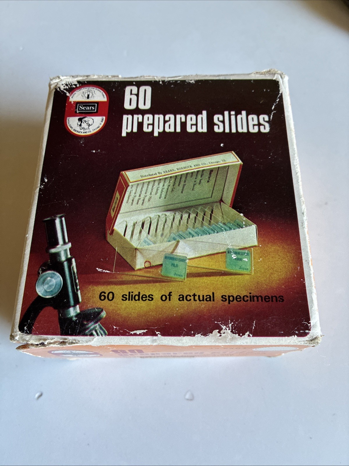 Vintage Sears 60 Prepared Microscope Slides 49 24037 Educational Specimens