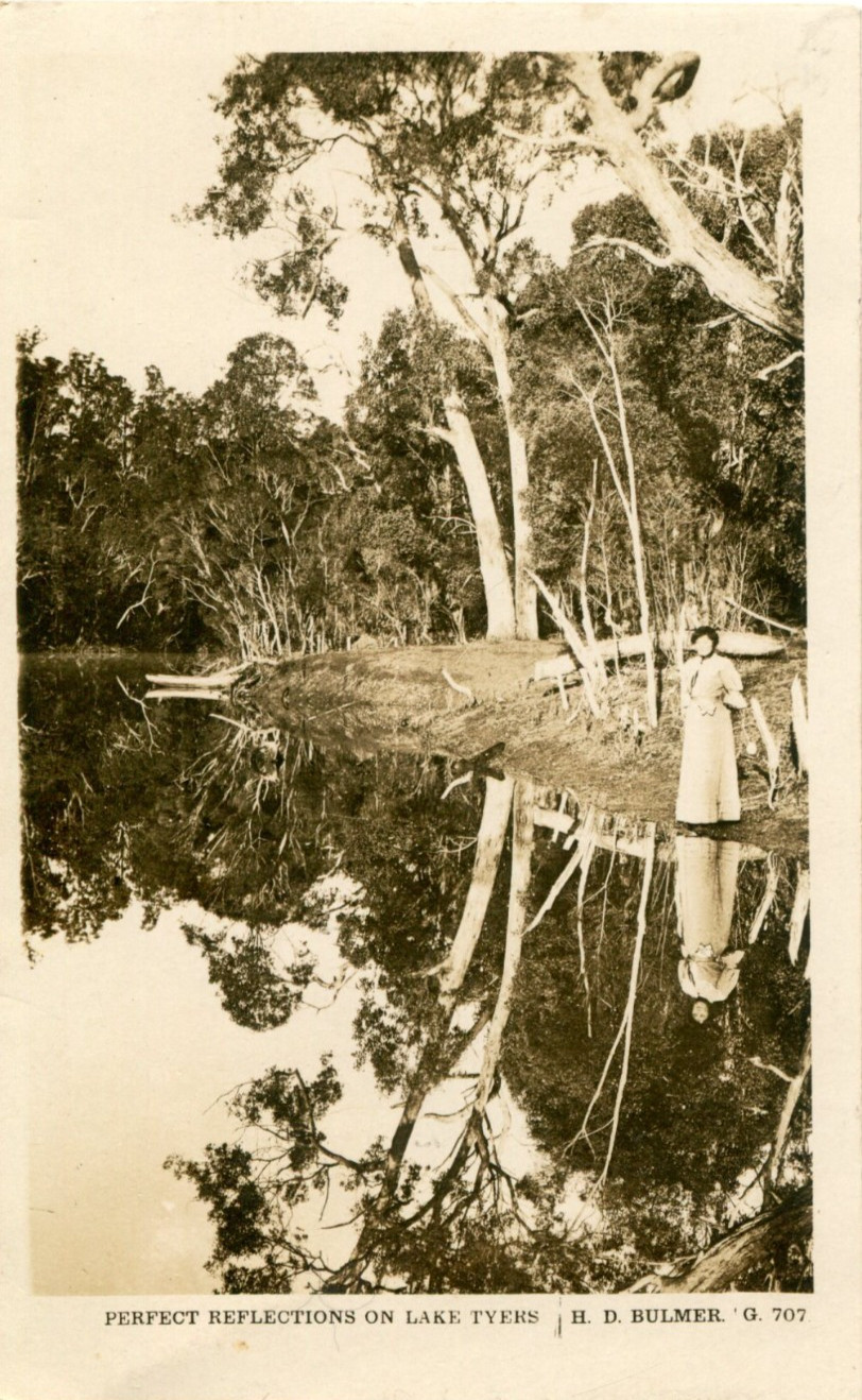 Perfect Reflections On Lake Tyers - Postcard